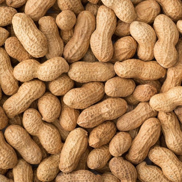 Fresh Dried Raw Peanuts Available In Bulk Premium Peanuts Packed With Protein And Rich Natural Flavor Perfect For Sale - Image 4