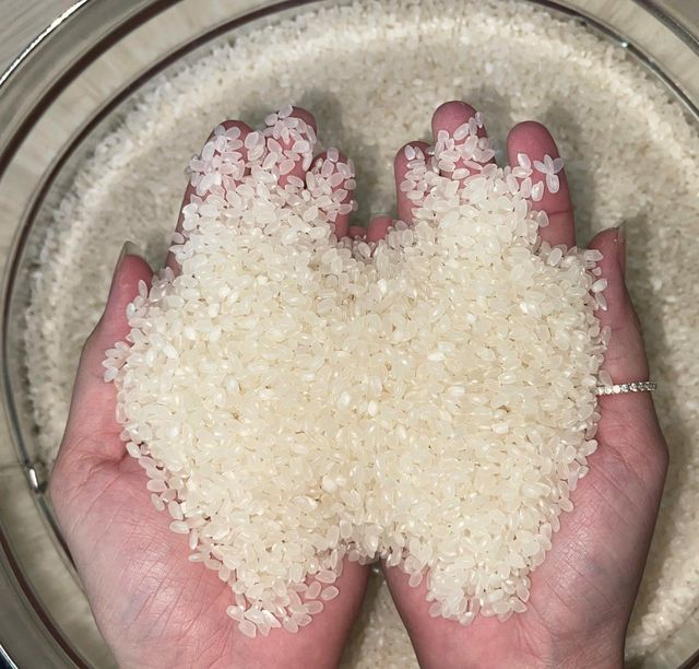 VIETNAM JAPONICA / SUSHI RICE 5% BROKEN DIRECT FROM FACTORY TOP RICE PRODUCER IN VIETNAM WHOLESALE RICE - Image 2