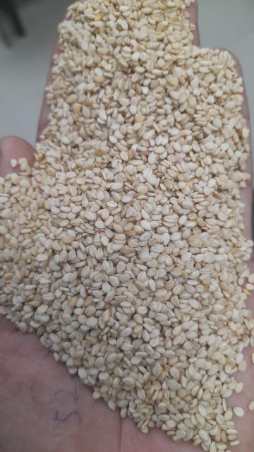 Sesame Seed Color Uniform Purity 98% Min Seed Purity 99% Oil Content > 48% Odor Free From Odor Moisture Content < 6% Certifications - Image 3