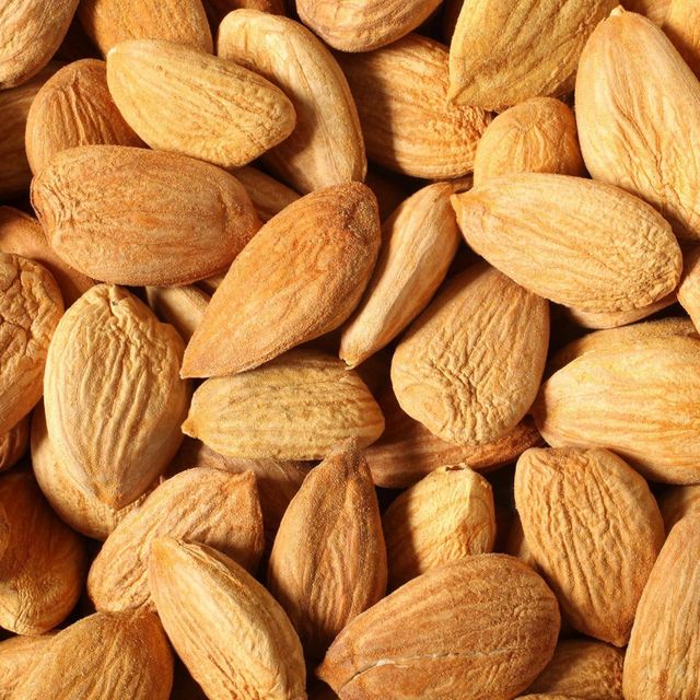 Natural Dehydrated Apricots Kernels Sourced From Reliable Farms With Hygienic Packing - Image 4