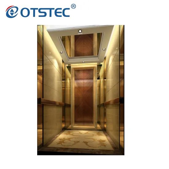 Vvvf Small Machine Room High Quality Lift Elevator Passenger Elevator - Image 2