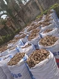 Buy Ginger Online from a Trusted International Supplier Form Ground, Whole Delivery Form Bag, Sacks Freshness Level Dried, Fresh - Image 4