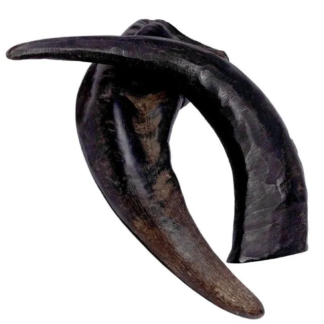 Horn Dog Chew - Image 2