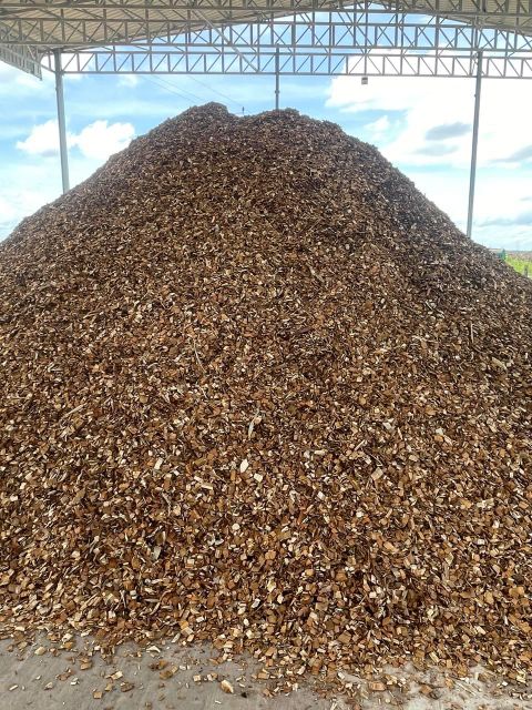 Wood Chips - Image 1