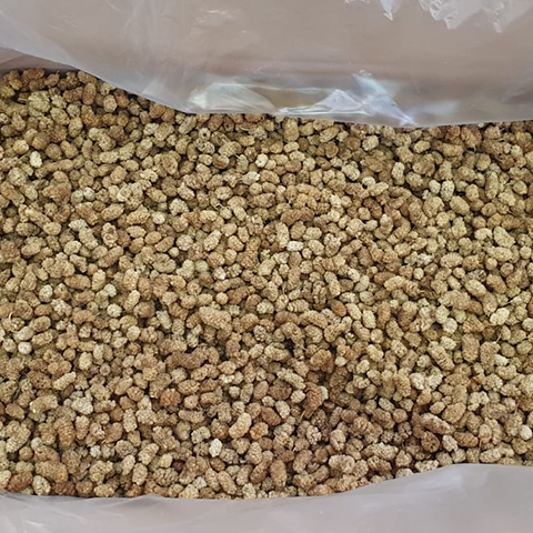 Dried Mulberries Color Golden Texture Chewy Flavor Sweet With Chewy Taste Like Dried Figs Processing Method Sun-dried Without Preservatives Or - Image 3