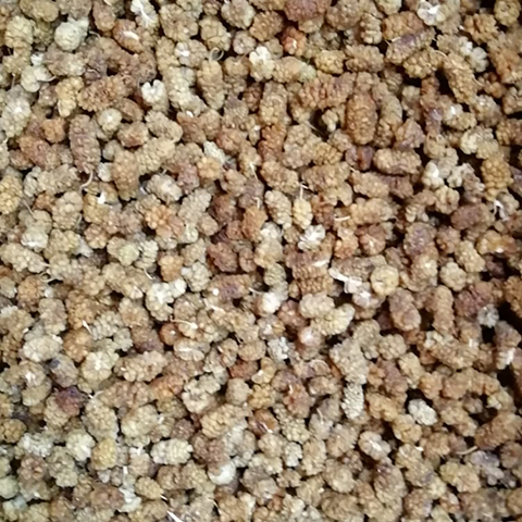 Dried Mulberries Color Golden Texture Chewy Flavor Sweet With Chewy Taste Like Dried Figs Processing Method Sun-dried Without Preservatives Or - Image 4