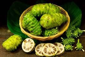 Cheap Noni Juice + Noni Fruit Powder  Material Noni Form VIET NAM Address VIET NAM Drying Process Noni Color Bromn - - Image 11
