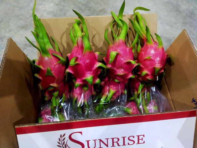 Fresh Green Pomelo Grapefruit Citrus fruit / Lime Seedless/ Dragon Fruits Whatsap 0084989322607 - Image 5