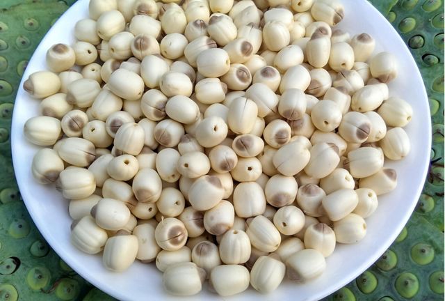 Dried Lotus Seeds from Vietnam Grade Dried Type Whole seeds Place of Origin - Image 2