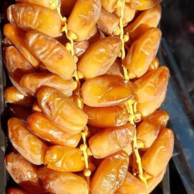 Premium Tunisian Kurma Deglet Nour Dates 2026 - Image 1