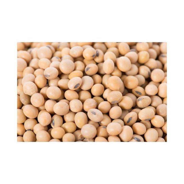 Yellow Soybeans - Image 2