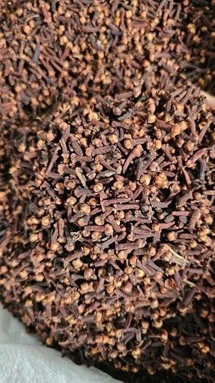 Cloves - Image 2