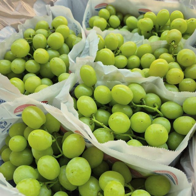 FRESH SWEET GLOBE SEEDLESS GRAPES FOR SALE!! CLASS 1 EXPORT QUALITY SWEET GLOBE SEEDLESS GRAPES FOR EXPORT – product photo 3, product detail gallery