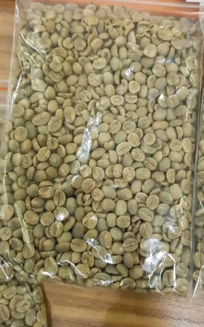 New Harvest Green Bean Coffee - Robusta/Arabica Premium Coffee Beans - Best Selling at Good Price - Image 6