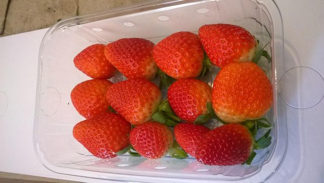 the strawberry Grade 1 Organic Yes Packaging 15 Origin Germany, Italy, Netherlands, Other, Spain Varieties Florida, Fortuna, Winter Down, Festival - Image 3