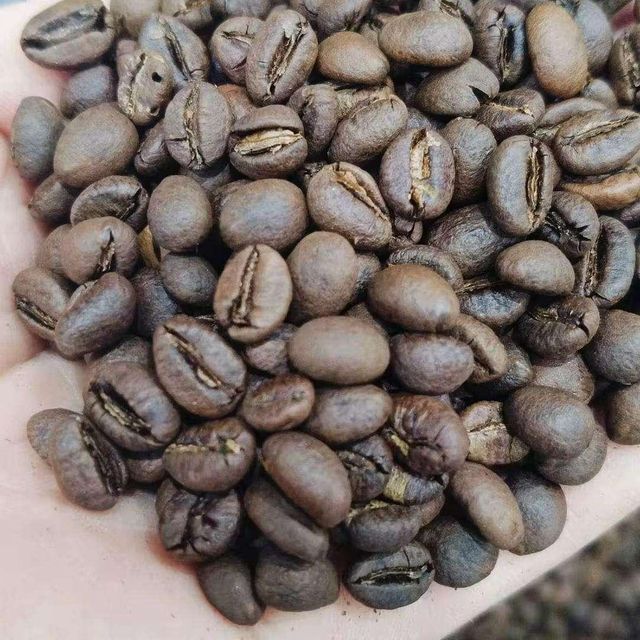 Hot Selling Premium Quality Robusta Arabica Coffee Beans Organic Direct Wholesale Green Roasted Blended Colored Dried Style Bulk - Image 2