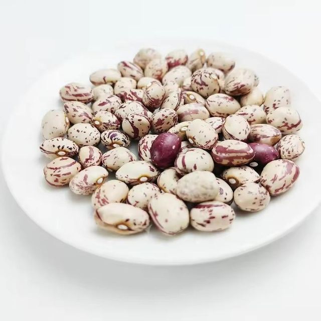 Light Speckled Dried Kidney Beans FD Process Bulk Packaging 25kg Gold Field 17% Moisture 2 Year Shelf Life for Sale - Image 3