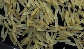 Premium 1509 Basmati: Raw, Steam, Golden & White Sella | 95% Purity | Broken Under 1% | Bulk Export Packaging from India - Image 3