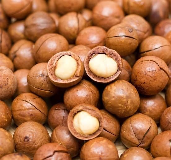 Premium Macadamia Nuts – Raw, Roasted & Organic Kernels for Snacks & Baking - Image 1