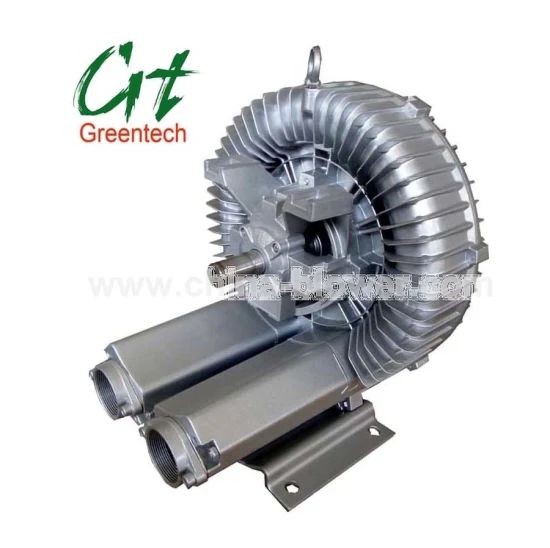 Ring Blower (4RB620) / Side Channel Blower Drive Motor Origin China HS Code 8414 Color Silver Speed 2980rpm Model NO. - Image 2