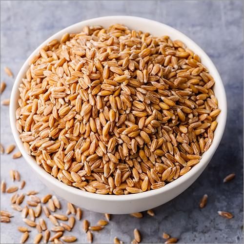 Hard Wheat Grains, Clean and Premium Grade, Cheap Bulk Wholesale Prices - Image 4