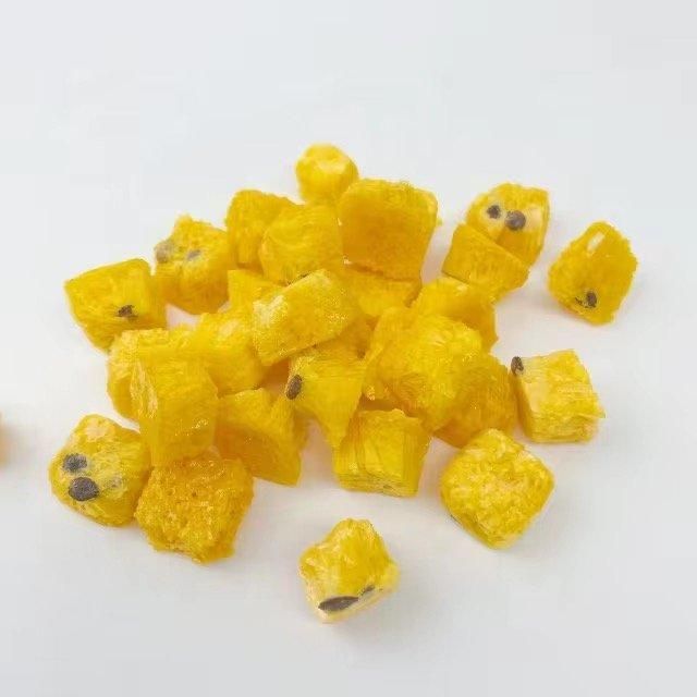 Freeze Dried Passion Fruit - Image 3
