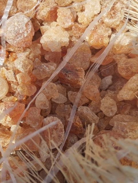 Arabic Gum - Image 1