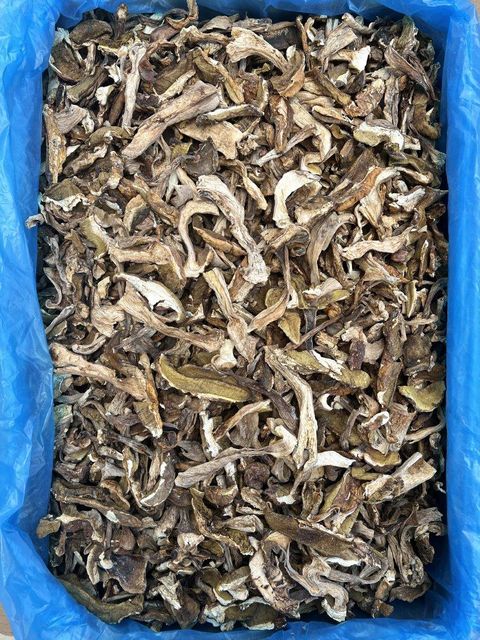 Dried Boletus Edulis - Image 2