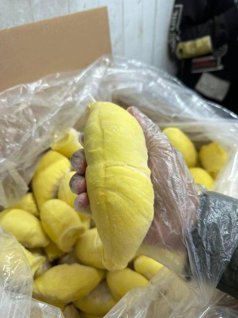 Puree Durian, Durian Pulp, Durian Flesh - Image 2
