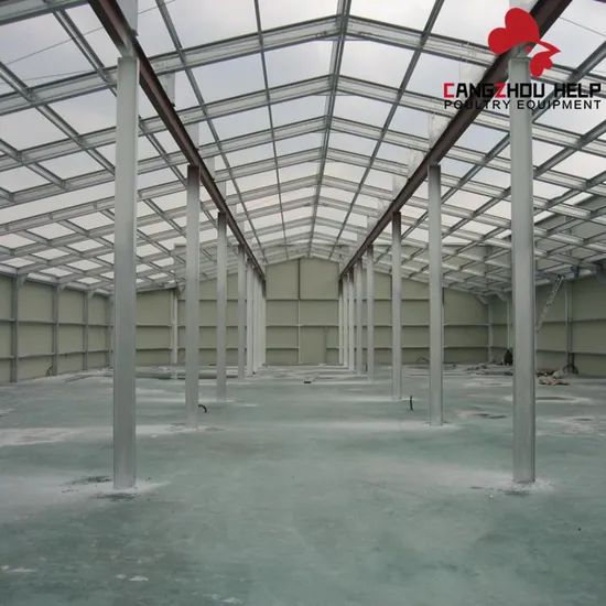 Modernization Steel Structure Building Chicken Coop for Poultry Farming - Image 5