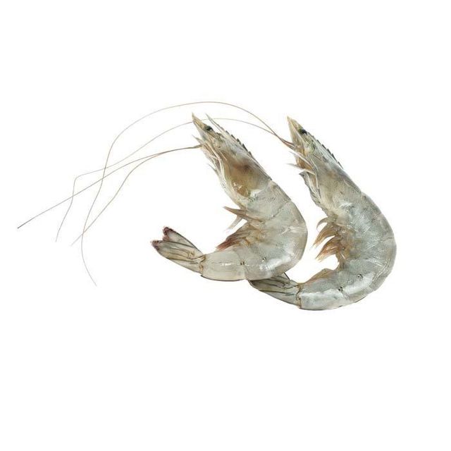 Premium Quality Frozen Shrimps Wholesale Supply At Factory Price For Sale - Image 3