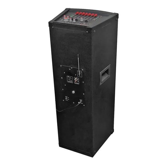 Wireless Microphone Speaker 10 Inch Bluetooth Party Speaker - Image 6