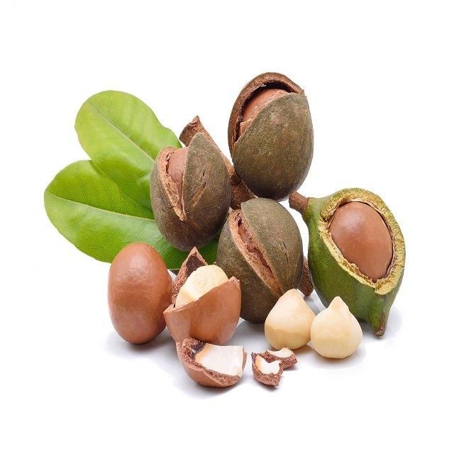 Reliable Macadamia Nuts Whole Kernels Fresh Buttery Crunch Ideal For Chocolate Baking Snacks And Food Industry Use Buy Today Fast Delivery Premium Quality Wholesale - Image 3