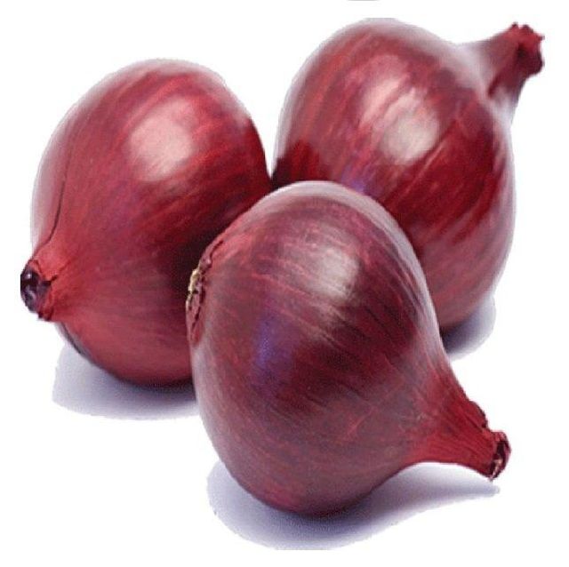 Price for America | Europe | Middle East | Asia Agriculture Fresh Vegetables Maharashtra Nasik Onion Sale Market Natural Product - Image 3