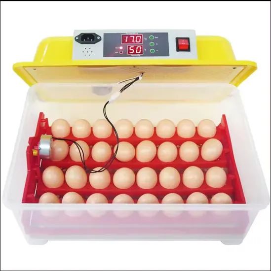 Mini Digital Multifunctional Mini Duck Egg Incubators (KP-36) - Image 3