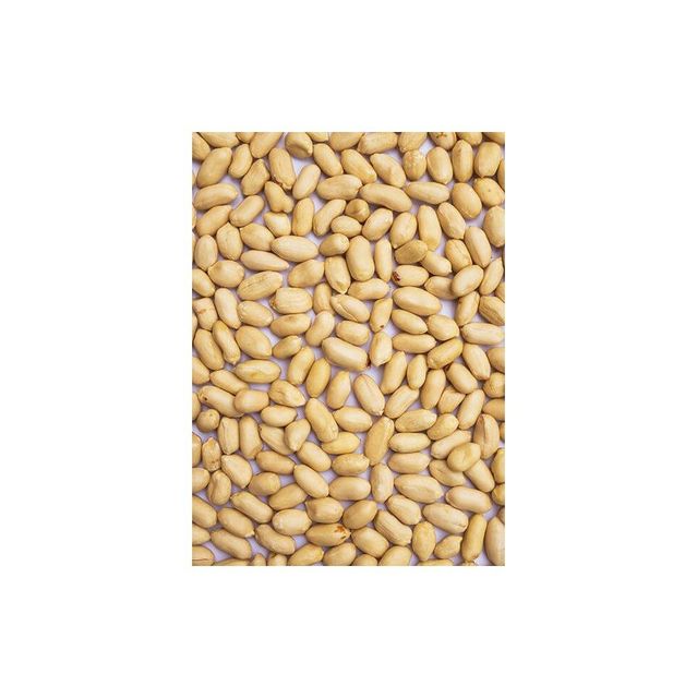 Blanched peanut kernels available for sale in bulk stock with fast dispatch - Image 3