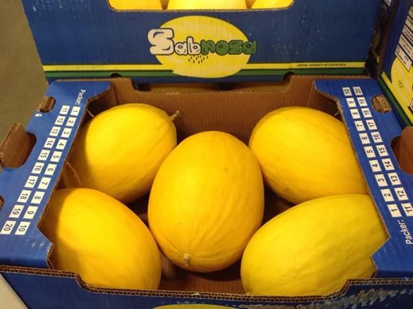 Fresh Melon Yellow Premiuem canary Grade A Organic Yes Freshness Level Fresh Place of Origin Algeria Packaging Size > 5 kg to 10 kg - Image 4