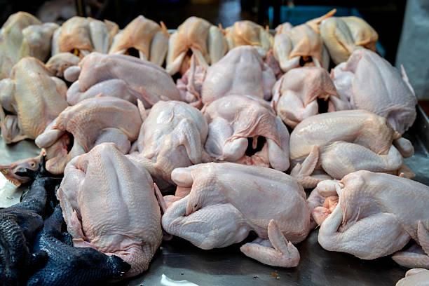 Frozen Whole Chicken – Grade A, Halal Certified, 800g–1500g, Export Quality - Image 3