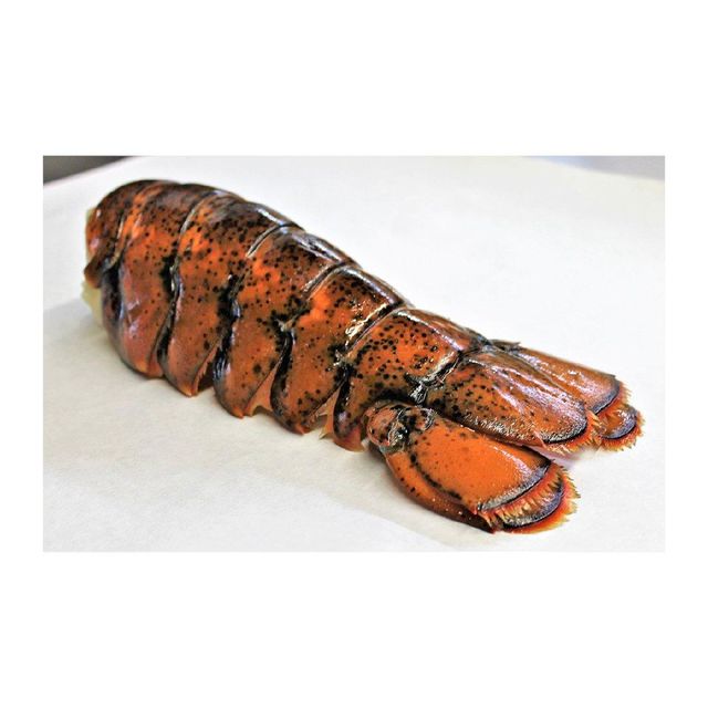 Premium frozen lobster tails prepared for bulk purchase reliability - Image 3