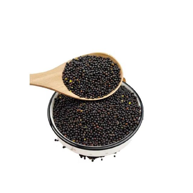 Clean and graded canola seeds offered in wholesale for oil mills and traders - Image 2