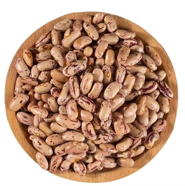 High Quality Dried Mottled Pinto Beans 25kg Food Grade in Bulk Packaging - Image 4
