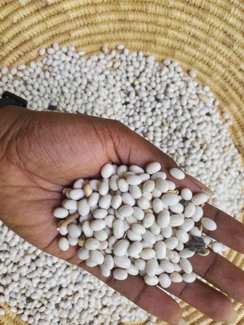 white beans - Image 1