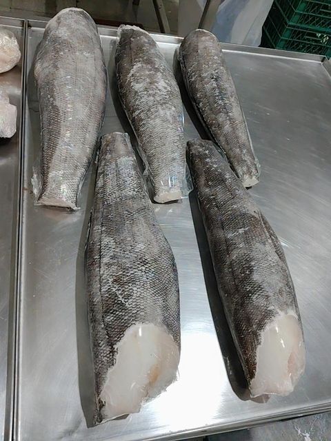 Patagonian Toothfish - Chilean Seabass - Image 1