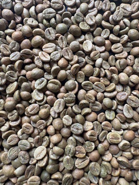 Robusta green beans – product photo 1, product detail gallery