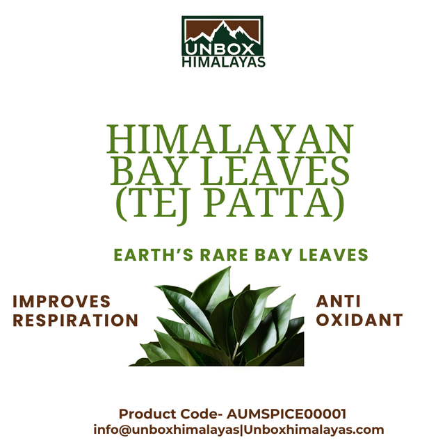 Himalayan Bay Leaves Flavor Complex And Earthy Aroma Distinctive And Vibrant Place of Origin India, Himalayas Harvest Method Sustainably Harvested - Image 2