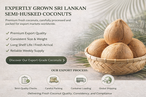Find similar icon Cheap Price Fresh Mature Semi Husked Coconut From Thailand - Image 1
