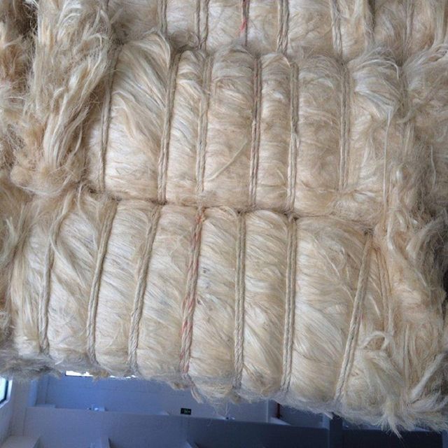 Premium Quality Sisal Fiber for Crafts and Ropes with Fast Delivery Guaranteed - Image 5