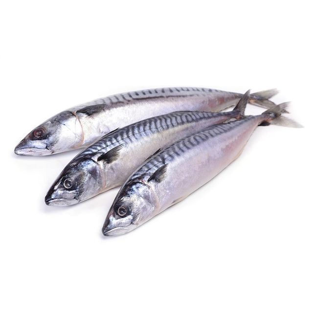 Frozen Sardine Fish Premium Export Selection Featuring High Nutritional Content And Controlled Frozen Storage - Image 3