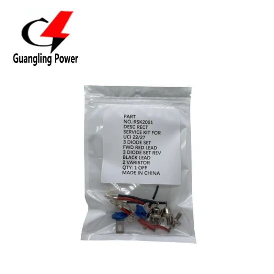 Rotating Bridge Rectifier Diode Kit Rsk2001 for Generator Rsk1001 Rsk2001 Rsk5001 Rsk6001 - Image 1