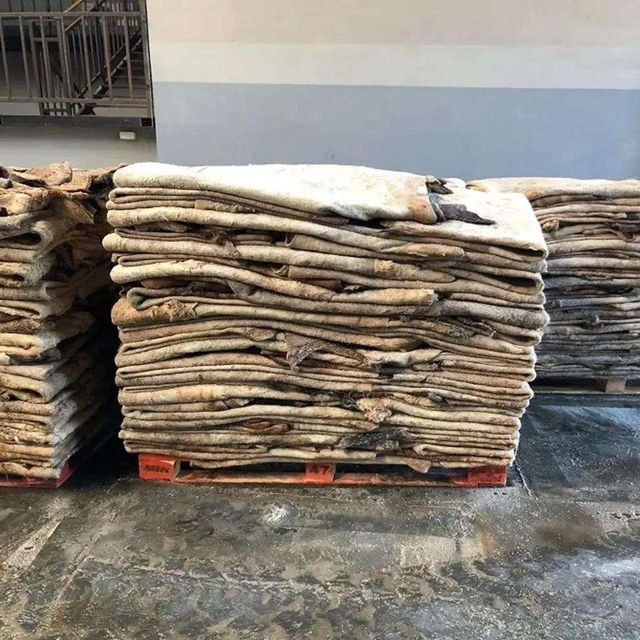 Bulk Donkey Hides Wet Salted Dry Salted Export Grade Natural Animal Skins for Leather Processing and Tanning Industry - Image 4